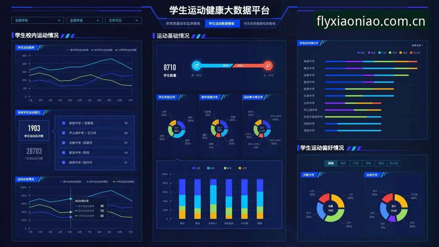 小鸟体育平台最新动态：电脑版全面升级，引领数字体育互动新趋势